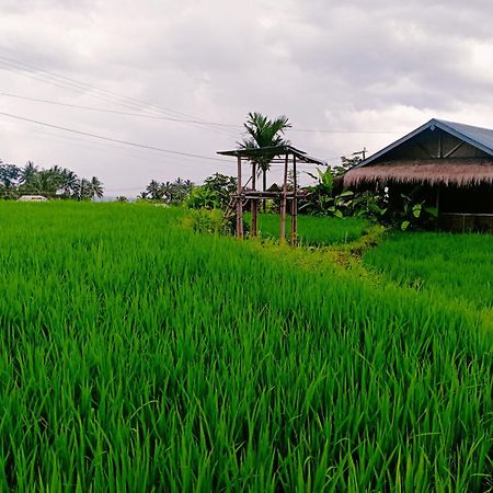 Bayan Exotic Homestay Senaru Buitenkant foto