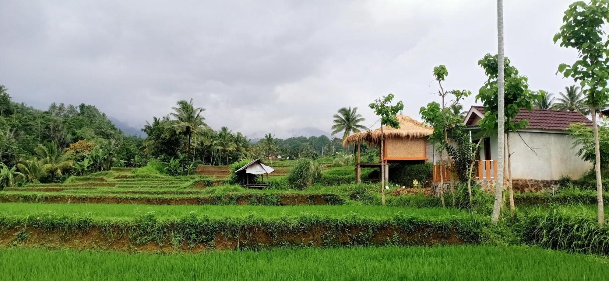 Bayan Exotic Homestay Senaru Buitenkant foto