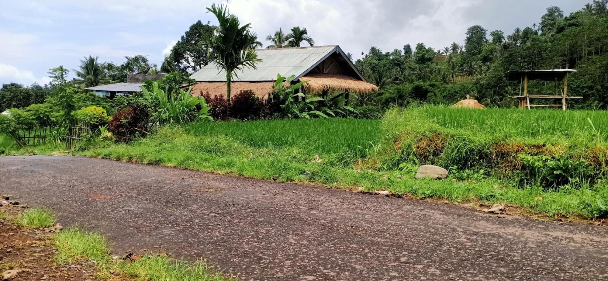 Bayan Exotic Homestay Senaru Buitenkant foto