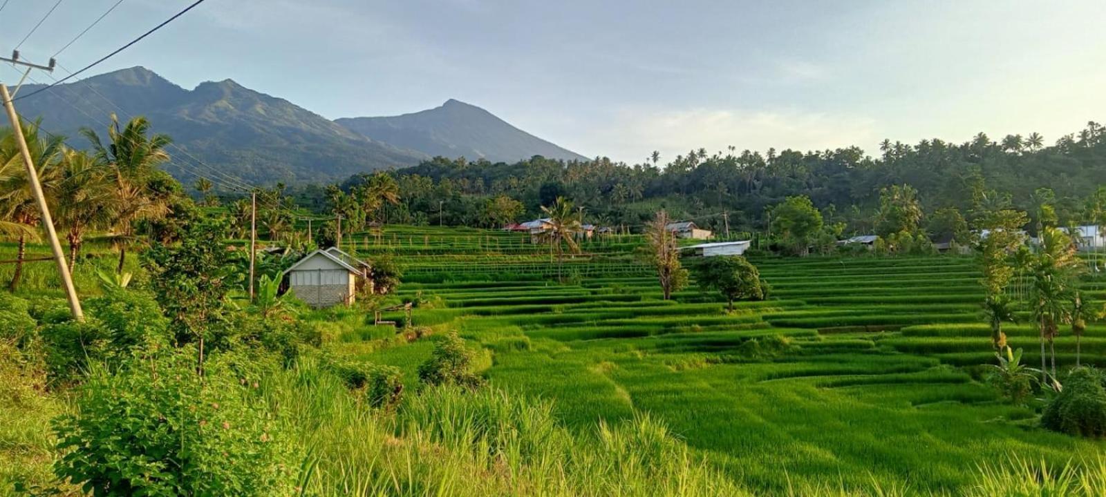 Bayan Exotic Homestay Senaru Buitenkant foto