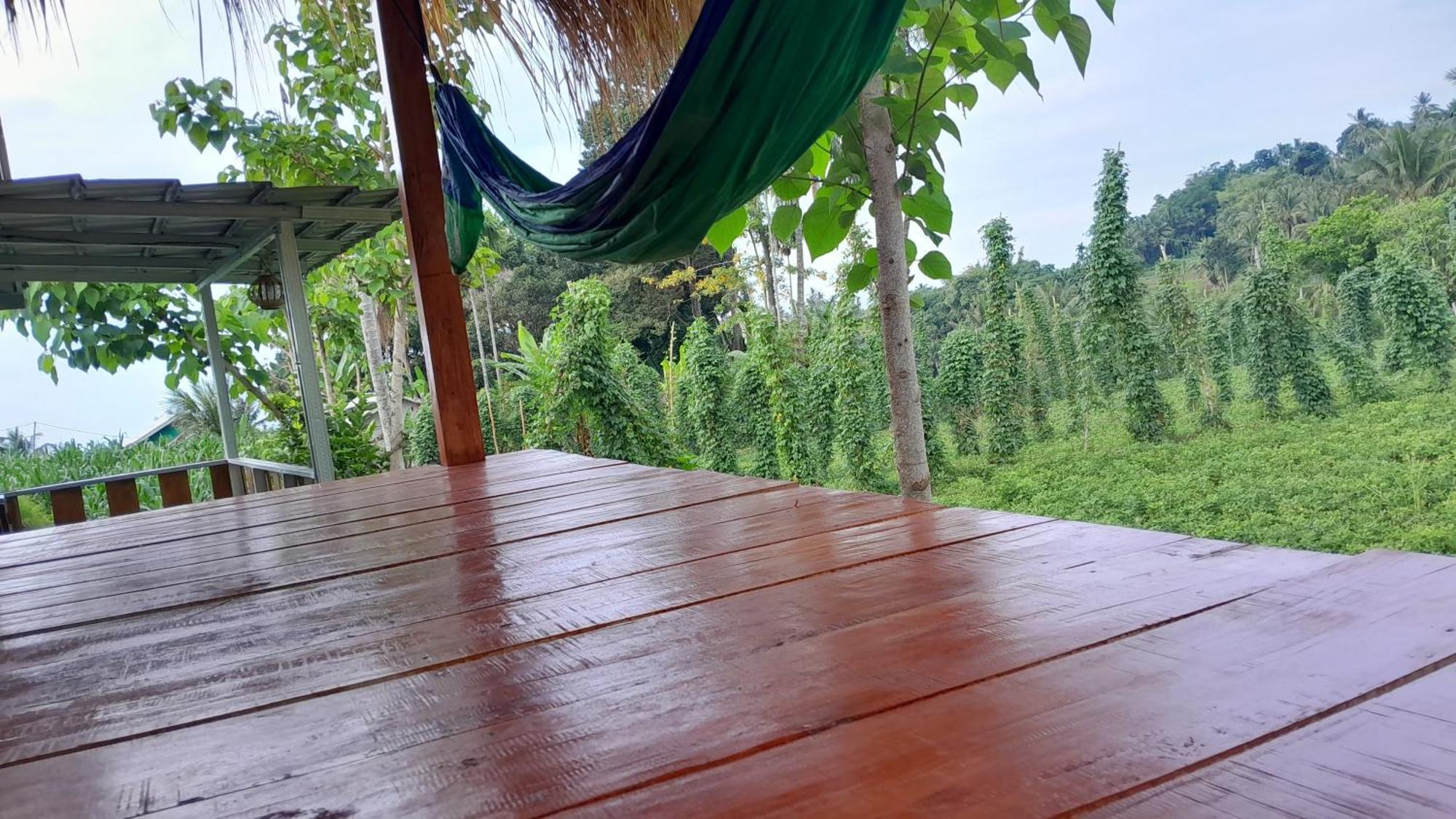 Bayan Exotic Homestay Senaru Buitenkant foto